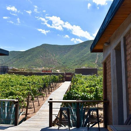 Uvauva Eco-Retreat Panzió Valle de Guadalupe Kültér fotó