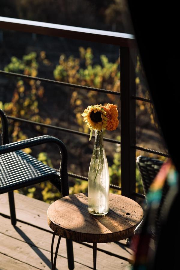 Uvauva Eco-Retreat Panzió Valle de Guadalupe Kültér fotó