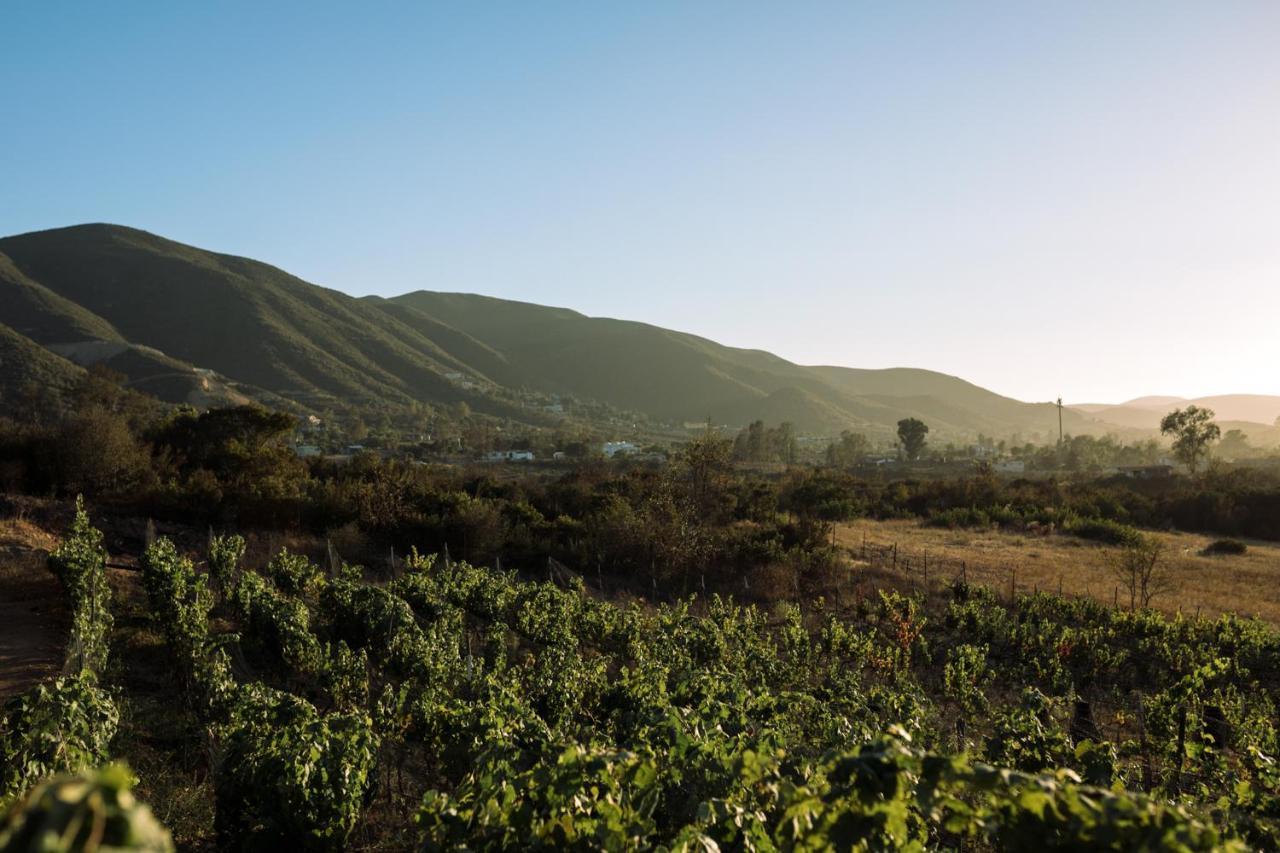 Uvauva Eco-Retreat Panzió Valle de Guadalupe Kültér fotó