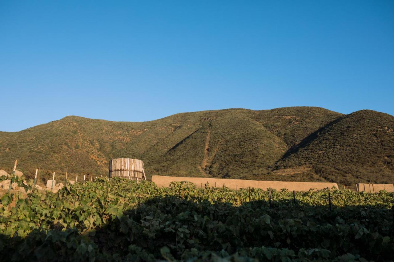Uvauva Eco-Retreat Panzió Valle de Guadalupe Kültér fotó