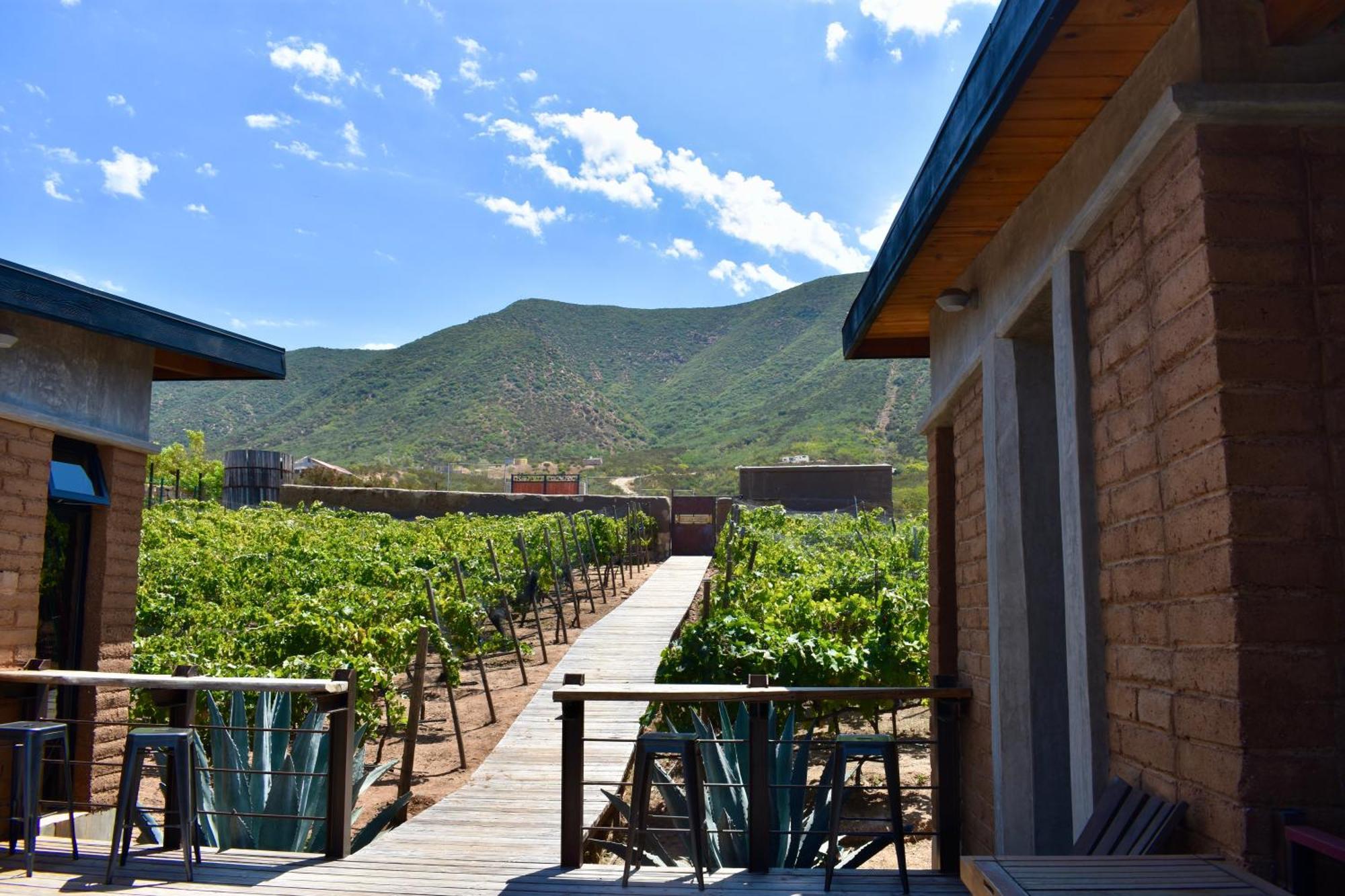Uvauva Eco-Retreat Panzió Valle de Guadalupe Kültér fotó
