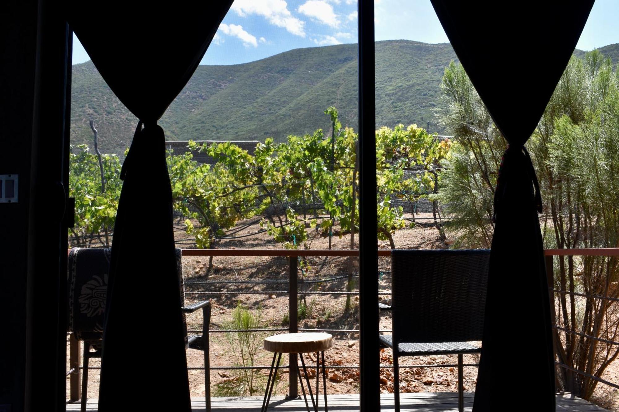 Uvauva Eco-Retreat Panzió Valle de Guadalupe Kültér fotó
