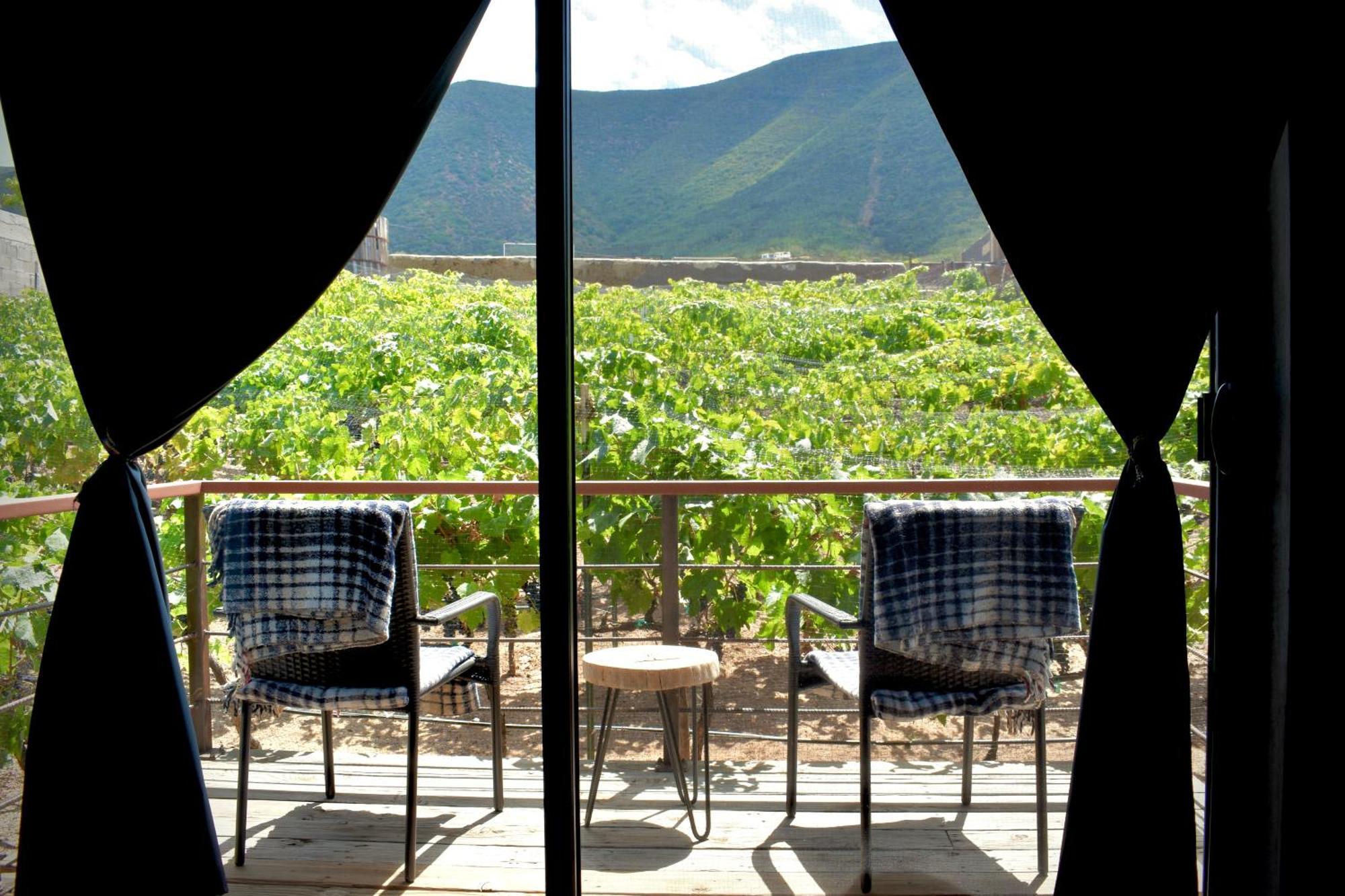 Uvauva Eco-Retreat Panzió Valle de Guadalupe Kültér fotó