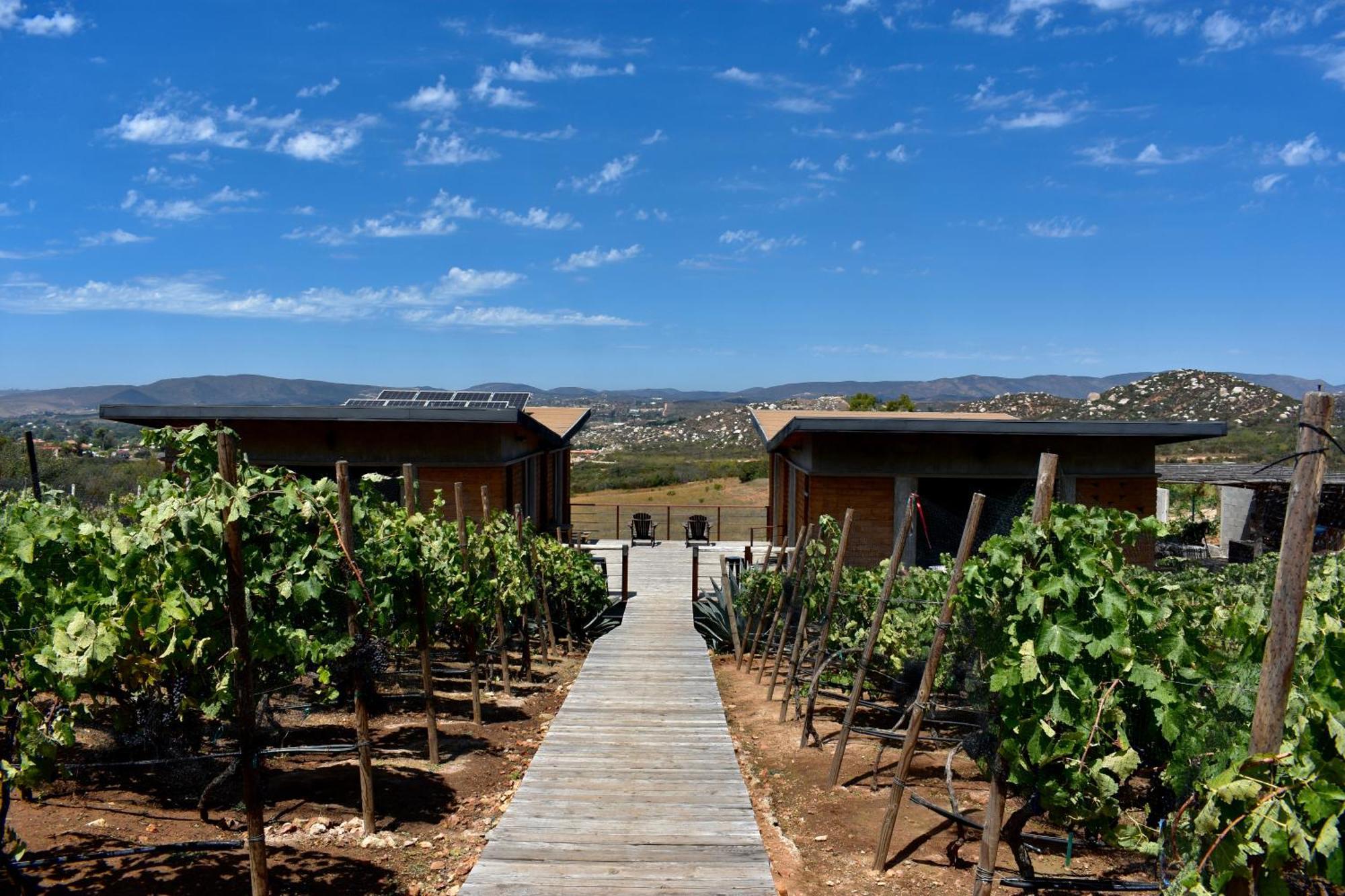 Uvauva Eco-Retreat Panzió Valle de Guadalupe Kültér fotó