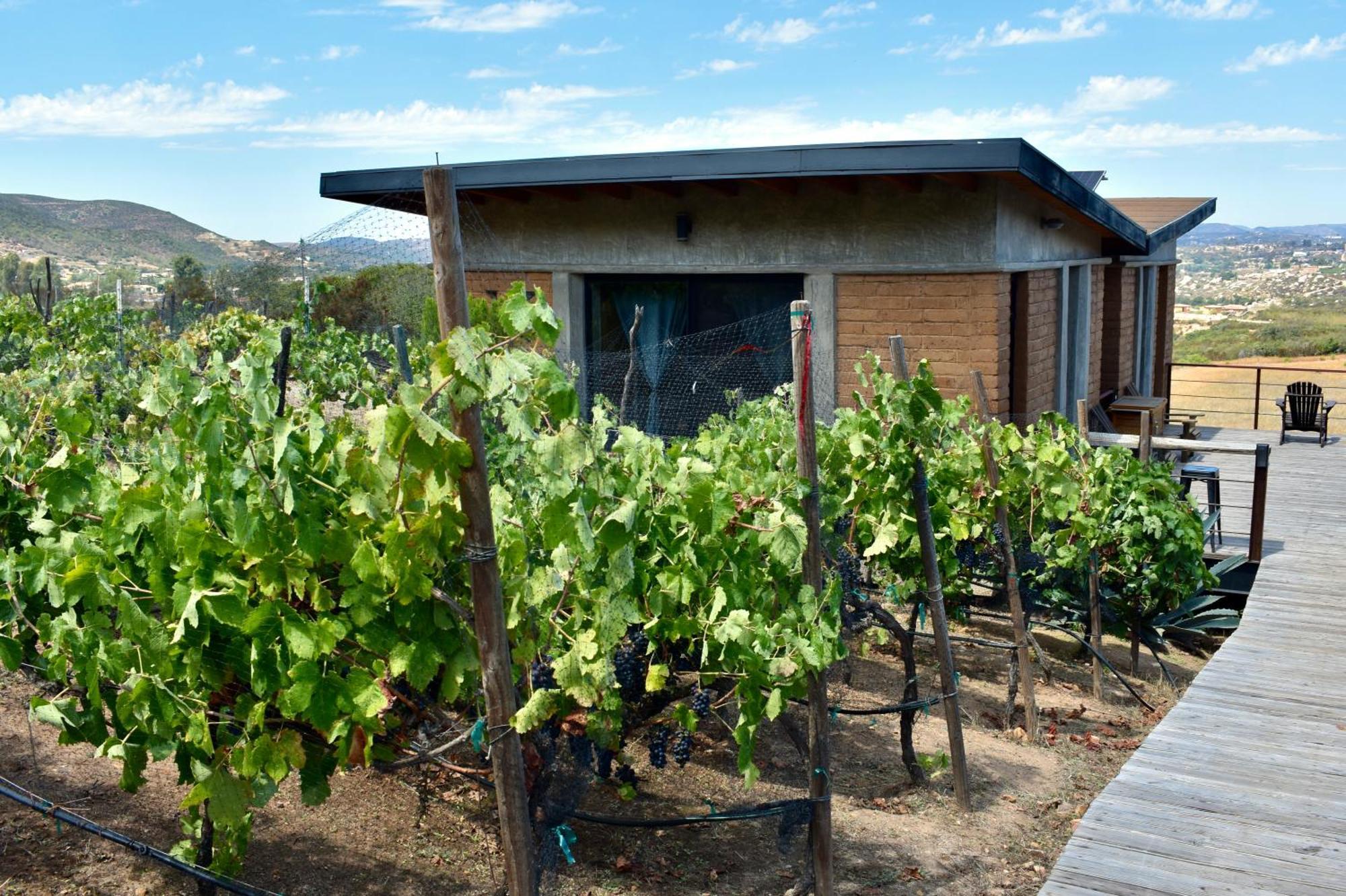 Uvauva Eco-Retreat Panzió Valle de Guadalupe Kültér fotó